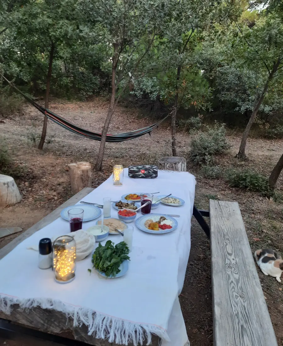 Orman içindeki ortak yemek masası